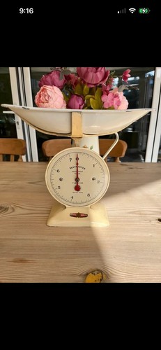 Waymaster mechanical analogue - waymaster,