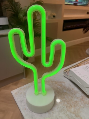 Led tabletop cactus - cactus, night