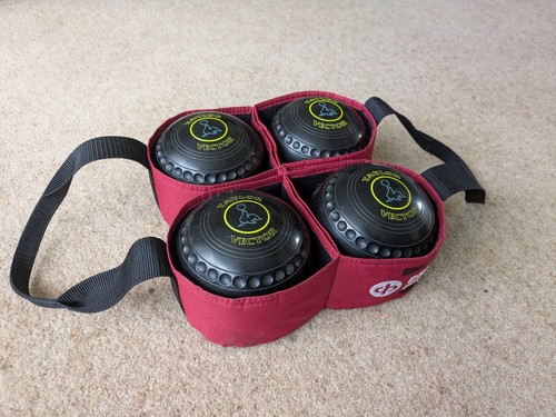 Taylor vector bowls size 1 - taylor,