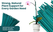 90cm / 36" Garden Canes Flower