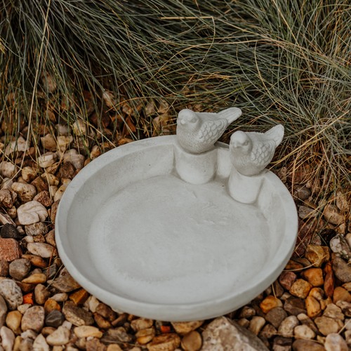 Drinking bowl bird bath - bird,