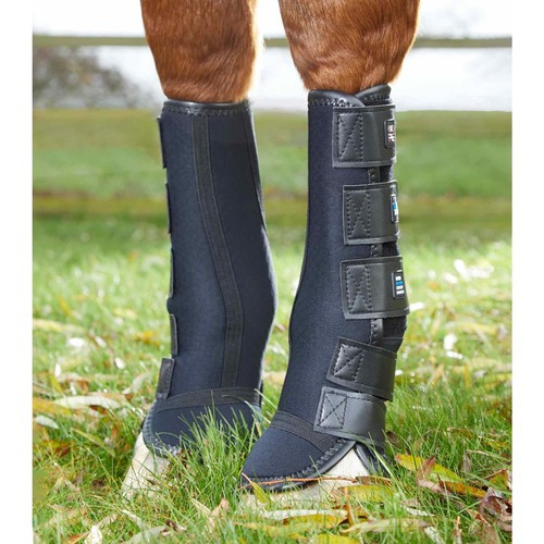 Premier equine turnout - equine,