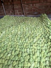 Dreamweaver Rug & Cushion Covers