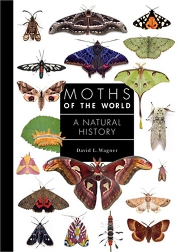 Moths the world - world:, natural