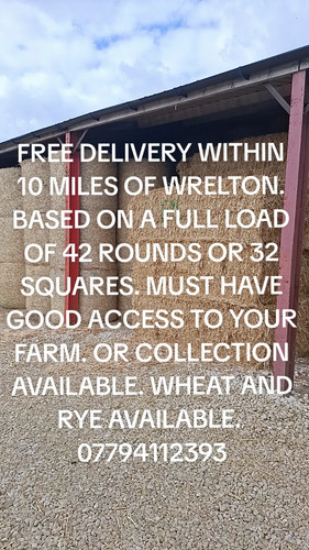 Wheat oat and rye - oat, in