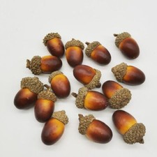 Natural Vintage Acorn Dried