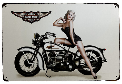 Harley davidson tin sign - tin,