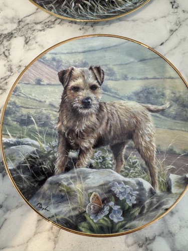Danbury mint border - mint, terriers