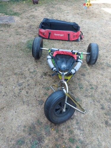 Peter lynn kite buggy includes - lynn,