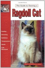 Guide to Owning a Ragdoll Cat