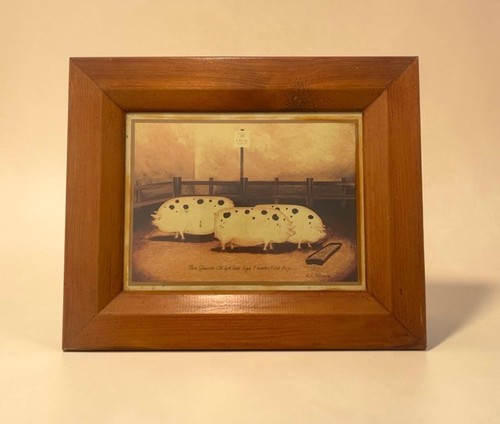 Vintage martin wiscombe - vintage,