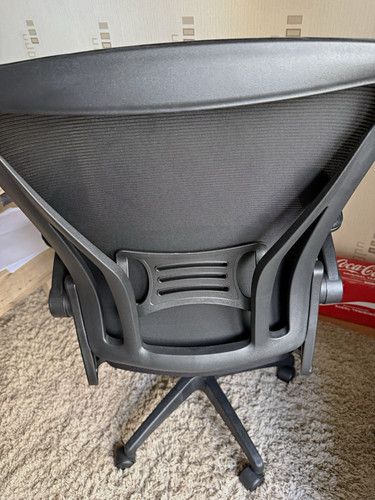 Black mesh back - back, office