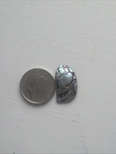 Natural abalone shell