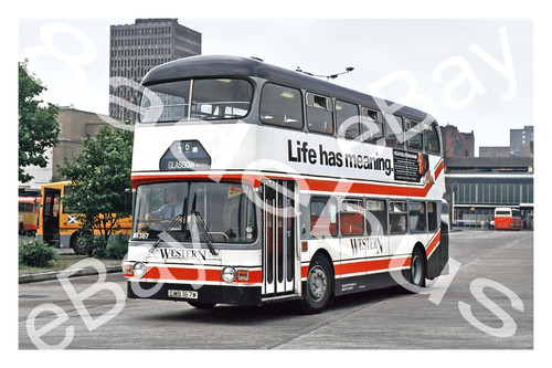 Bus photograph western - bus,