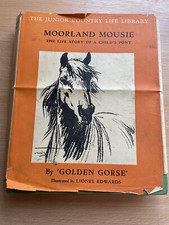 Moorland Mousie Golden Gorse