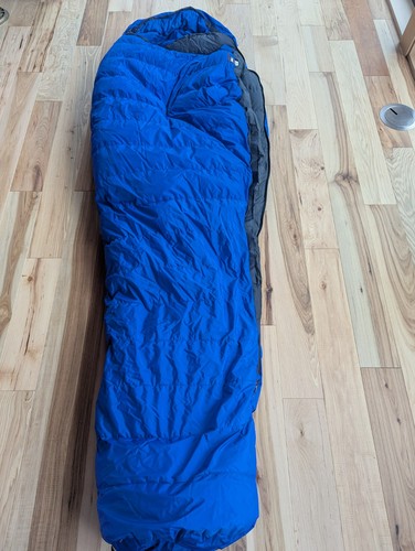 Marmot kestrel long - kestrel,