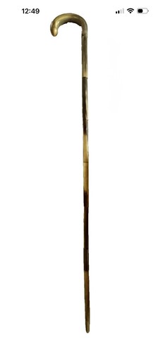 Antique rare bovine horn - antique,