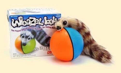 Furry weasel ball funny - furry,