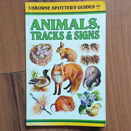 Usborne spotter guides - spotter's,