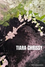 Delicate Sparkling Silver