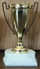 7" Cup Trophy - Free Engraving