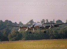 Vintage Photograph - MATS