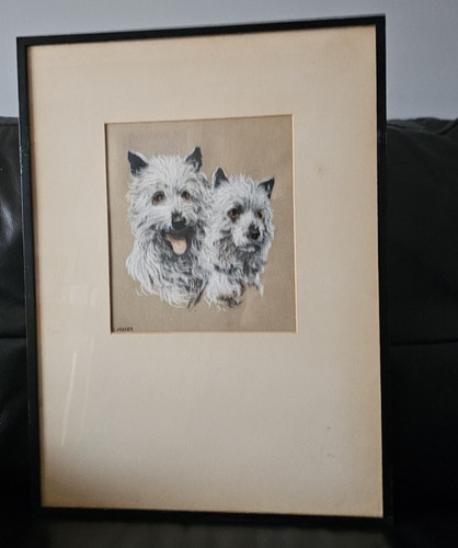 Fraser cairn terriers - l.,