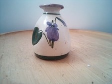 Bathes  TORQUAY Devon VIOLETS