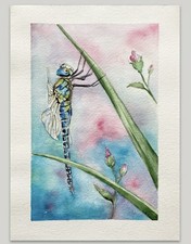 Original Dragonfly Watercolor