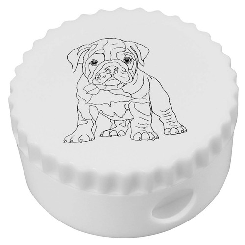 British bulldog puppy - 'british,