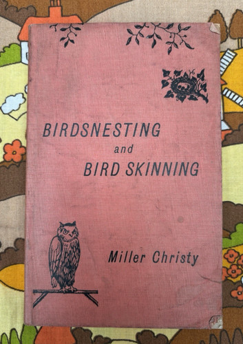 Antique book birds nesting - antique, book,