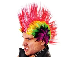 Mohican Wig~Multi-Coloured