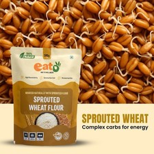 Eat5 Sprouted Wheat  Flour