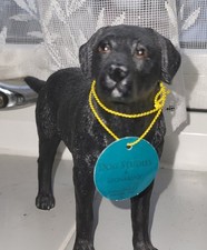 Black Labrador Dog Ornament Figurine Dog Studies Range by Leonardo Home Decor