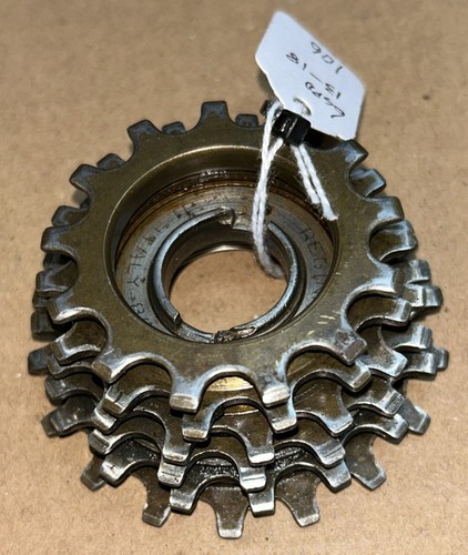 Regina oro speed bike - regina,