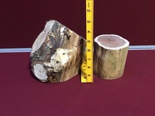 Wood Turning Wood. Apple / Yew