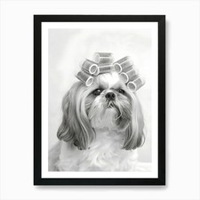 Shih Tzu Dog Art Print Framed