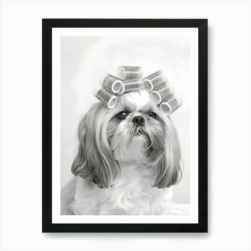 Shih tzu dog art - shih,