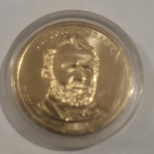 Dollar coin native - us,