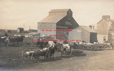 MN, Hallock, Minnesota, RPPC