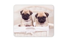 Adorable Pug Puppies Mouse Mat