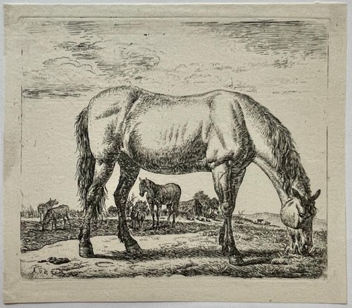Antique drawing etching - drawing,,