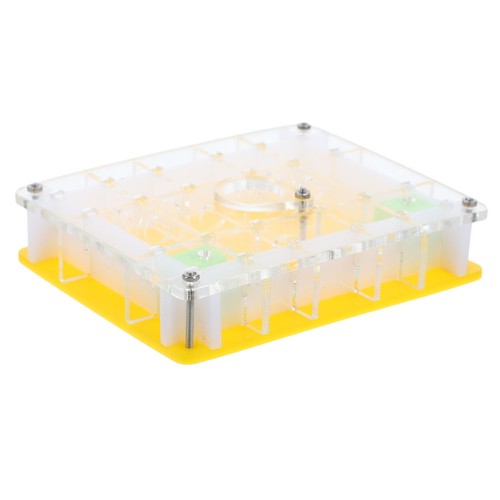 Ant ecological box - ,