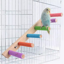 Parrot climbing ladder toy - parrot,