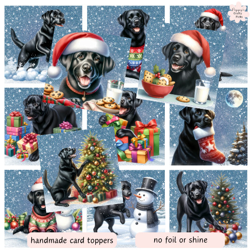 Black labrador dog card - black,