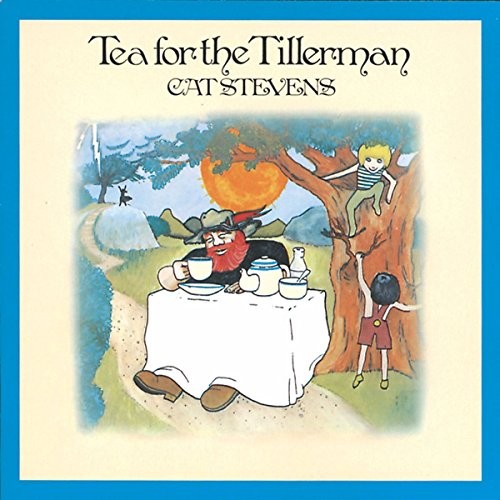 Stevens cat tea - cat, the