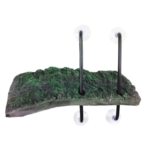For turtle platform - for,