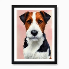 Parson Russell Terrier