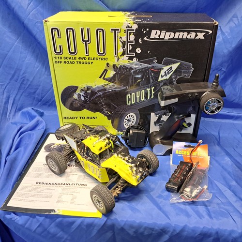 Ripmax coyote dune buggy 18 - buggy, 1/18