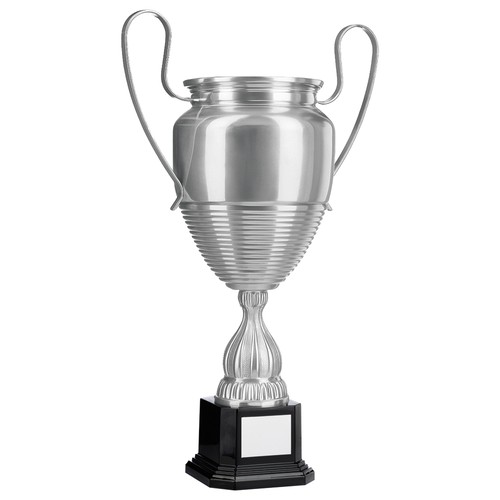 Large silver european - large,